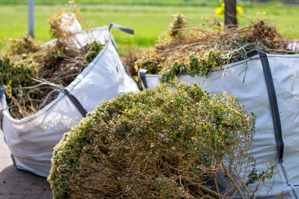 Best Residential Junk Removal  in Walsenburg, CO