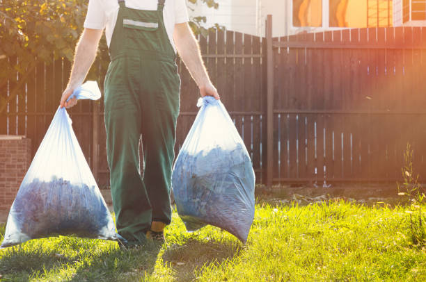Best Basement Cleanout  in Walsenburg, CO